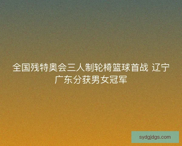全国残特奥会三人制轮椅篮球首战 辽宁广东分获男女冠军 全国残特奥会三人制轮椅篮球首战 辽宁广东分获男女冠军